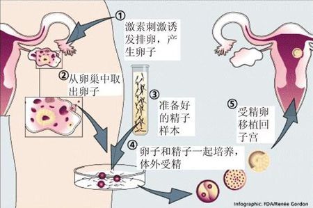 紫韵医疗